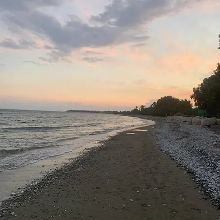 Leonidas Seaside *