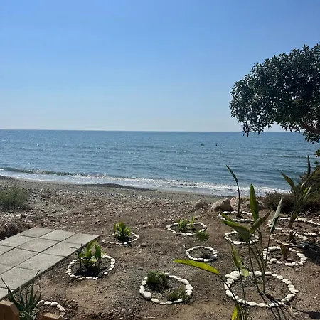 Leonidas Seaside *